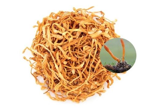 SugaNorm conține cordyceps